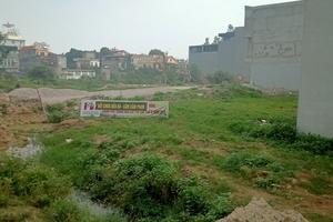 Thanh Hóa: Cần làm rõ nguồn gốc để tránh bồi thường sai đối tượng