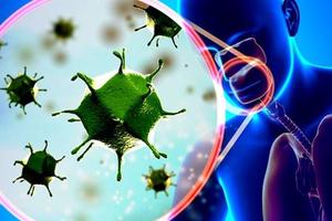  745 trường hợp xét nghiệm âm tính với nCoV