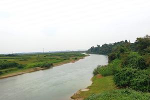 Hà Tĩnh: Chặt bỏ hàng cây lâu năm chống lũ để làm kè 