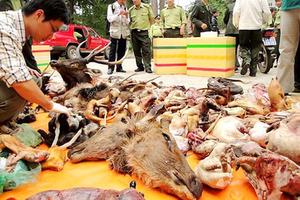 Bắc Giang: Tăng cường quản lý việc buôn bán động vật hoang dã