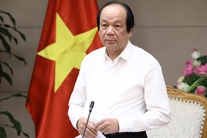 Bộ trưởng Mai Tiến Dũng: “Còn kiểm tra chuyên ngành mò mẫm, lúc bảo được, lúc bảo không”