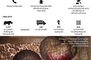1.777 vụ vi phạm về động vật hoang dã trong năm 2019