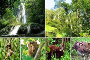 Lập Quy hoạch bảo tồn đa dạng sinh học