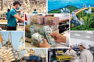 Xử lý, tháo gỡ khó khăn trước tình hình kinh tế mới