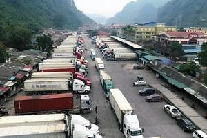 Tháo gỡ khó khăn hoạt động XNK, vận chuyển hàng hóa qua biên giới