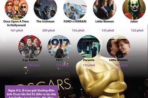 Mất bao nhiêu giờ để xem hết loạt đề cử Phim hay nhất?