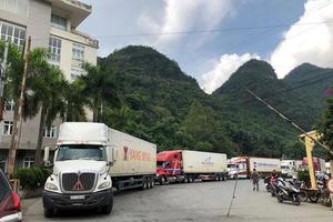 Thủ tướng cho phép giao nhận hàng hóa tại cửa khẩu, thực hiện nghiêm việc kiểm dịch