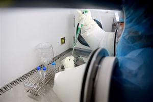 Bệnh viện Trung ương Huế xét nghiệm được virus corona chủng mới