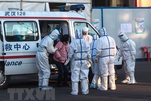  Các ca nhiễm mới và tử vong tăng đột biến ở Hồ Bắc