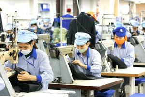Tận dụng ưu đãi trong CPTPP của doanh nghiệp Việt còn nhiều dư địa