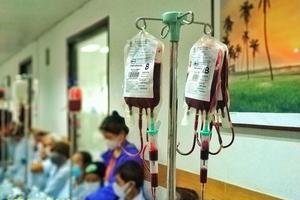 Cảnh báo nguy hiểm vì cạn nguồn máu dự trữ giữa mùa dịch corona