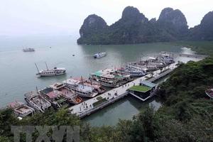 Bác bỏ tin cấm khách nước ngoài xuất bến từ Cát Bà đi Hạ Long