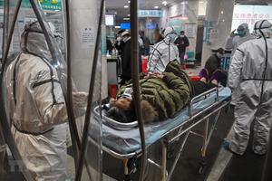 Dịch bệnh viêm đường hô hấp cấp có thể truyền nhiễm qua hệ tiêu hóa