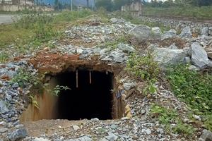 Bình Vàng hay bình “không đáy”?