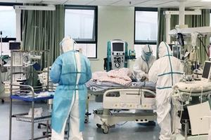 Vẽ bản đồ đường đi của virus nCoV bằng các mô hình điện toán