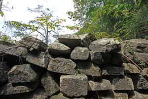 Phật hoàng Trần Nhân Tông cho xây Am Dược để làm gì?