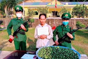 Biên phòng Thanh Hóa liên tiếp bắt 3 vụ vận chuyển ma túy