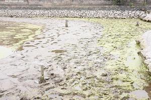 Phát hiện 13 cọc gỗ nằm ở ngã ba sông trong chiến trận Bạch Đằng năm 1288