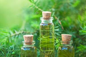 Phòng, ngừa dịch bệnh nCoV bằng tinh dầu tràm