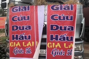 Chung tay giải cứu dưa hấu trong cơn "bão" Corona