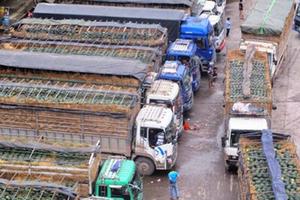 Giảm chi phí lưu kho để hỗ trợ nông dân tiêu thụ nông sản