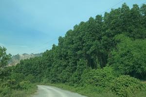 Phòng Nội vụ “quên” xử lý cán bộ vi phạm vì mất hồ sơ?