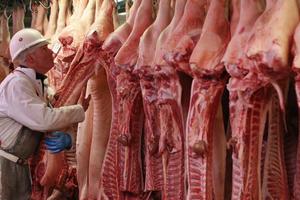 Tháng 4, đưa giá lợn hơi về khoảng 60 nghìn đồng/kg
