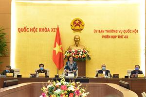 “Đồn là nhà nhưng mùa dịch Covid -19, bộ đội biên phòng phải ngủ ở đường mòn, lối mở”