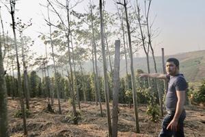 Trưởng phòng Tài nguyên và Môi trường huyện bán đất “ma” cho dân?