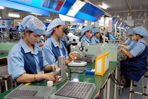 Số doanh nghiệp tạm ngừng kinh doanh trong 2 tháng đầu năm tăng cao