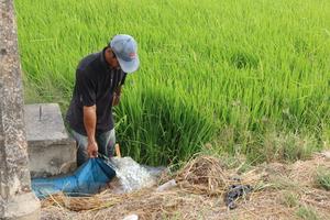 Long An: Công bố tình huống khẩn cấp do xâm nhập mặn