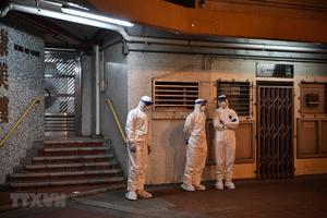 COVID-19: Hong Kong xác nhận trường hợp thú nuôi nhiễm SARS-CoV-2