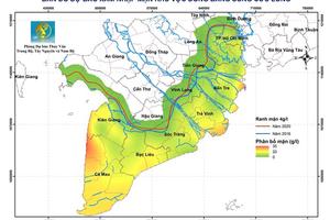 Xâm nhập mặn ở vựa lúa số 1 Việt Nam có thể tăng trong tuần tới