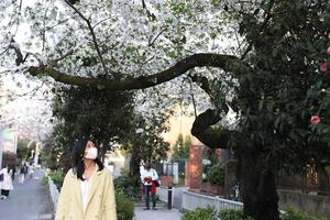 Bùng nổ số ca mắc COVID-19, Thị trưởng Tokyo kêu gọi người dân ở nhà