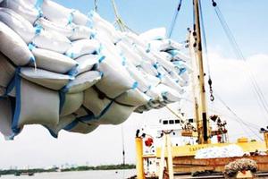 Có xuất khẩu gạo hay không còn chờ đánh giá lại số liệu