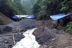 Nhóm người bắt giữ phu vàng trái phép