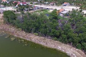 Do huyện thiếu kiểm tra, xử lý chưa kịp thời, triệt để