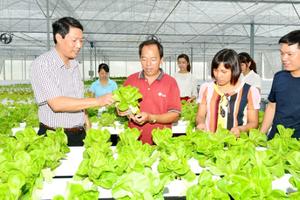 Nông dân thời công nghệ 4.0