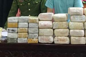 Tập trung đấu tranh, triệt phá các đường dây ma túy lớn