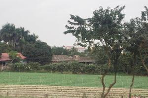 Cần bảo đảm quyền lợi chính đáng của người dân 