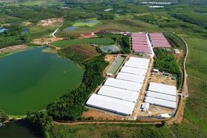 Xử phạt Công ty Dabaco 300 triệu đồng về hành vi vi phạm môi trường