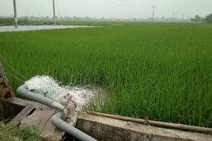 Công an vào cuộc điều tra 