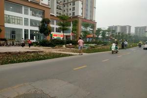 Đề nghị xử lý việc đấu nối trái phép vào đường gom cao tốc