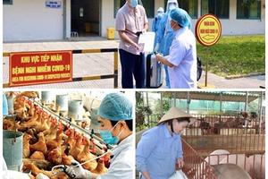 Những chỉ đạo, điều hành quyết liệt của Chính phủ, Thủ tướng Chính phủ trong tháng 3