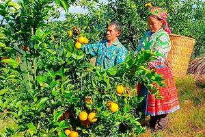 Nơi “bát cơm đang dần ngon hơn”