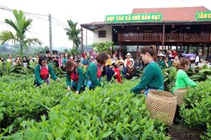 Thái Nguyên: Hình thành các sản phẩm du lịch độc đáo, đặc trưng, có thương hiệu 