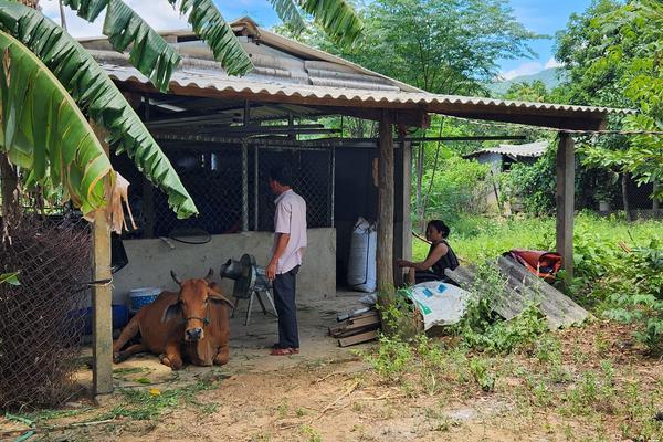 Yêu cầu huyện Đakrông chấn chỉnh công tác quản lý tài chính ngân sách