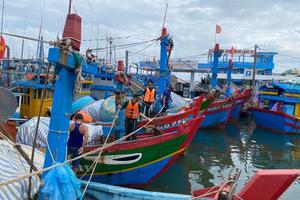 Thủ tướng yêu cầu 11 tỉnh, thành chủ động ứng phó bão Trami