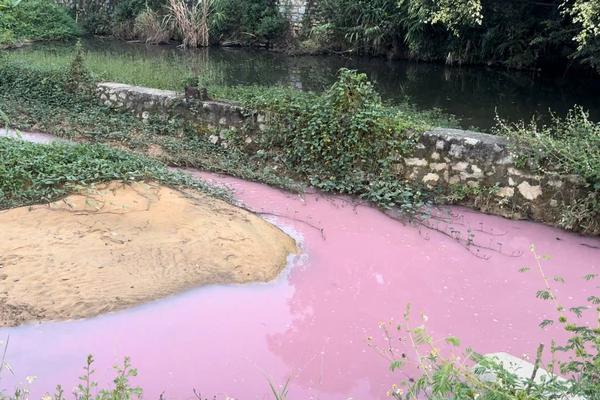 Hoà Bình chỉ đạo kiểm tra, xử lý việc xả nước thải có màu lạ ra môi trường của nhà máy chế biến gỗ