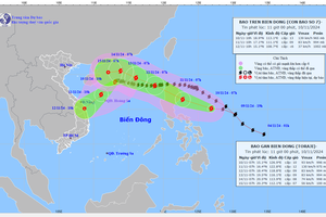 Sau bão số 7, bão số 8 nối tiếp vào Biển Đông